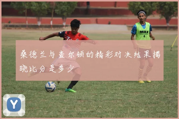 桑德兰与查尔顿的精彩对决结果揭晓比分是多少