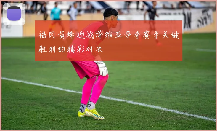 福冈黄蜂迎战泽维亚争夺赛季关键胜利的精彩对决