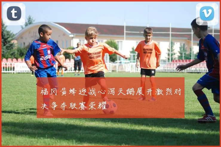 福冈黄蜂迎战心泻天鹅展开激烈对决争夺联赛荣耀
