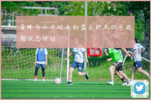 黄蜂与公牛对决初盘分析及双方近期状态评估