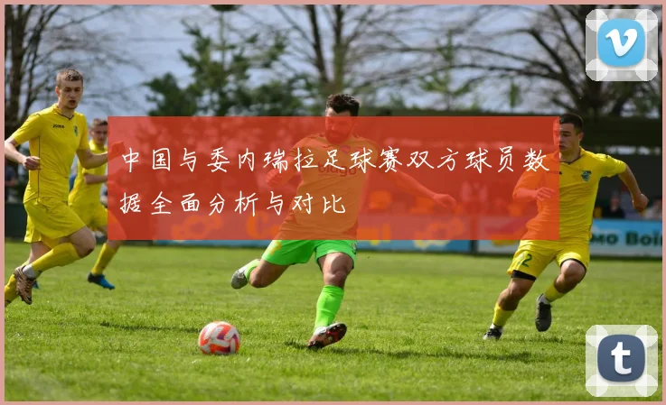 中国与委内瑞拉足球赛双方球员数据全面分析与对比
